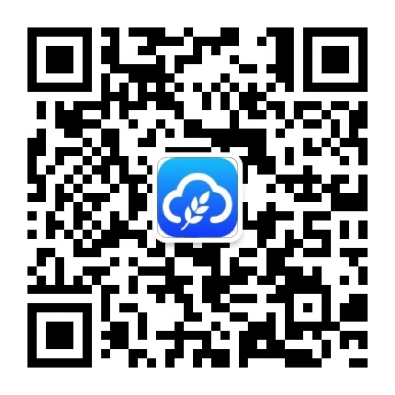 联系我们
